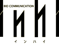 �A���e�B�[�N�C���n�C